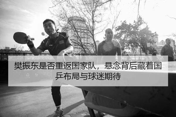 樊振东是否重返国家队，悬念背后藏着国乒布局与球迷期待 - kaiyun